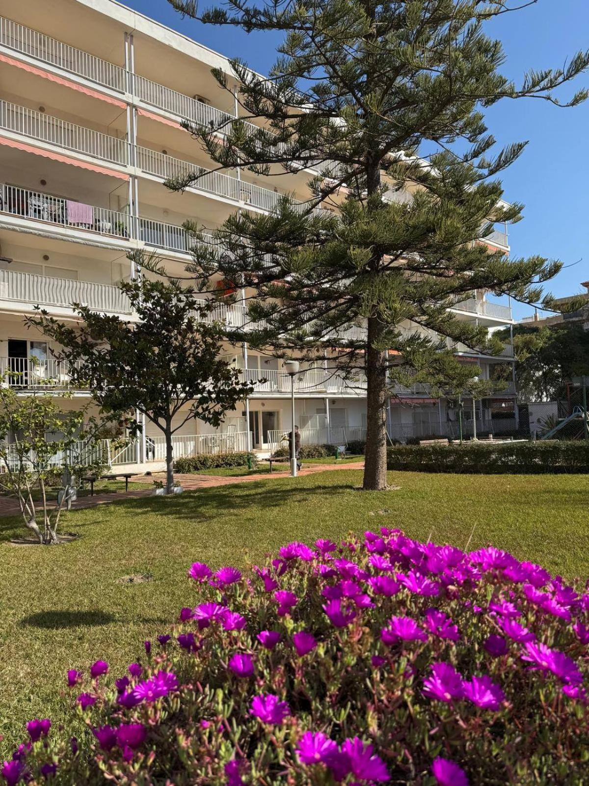 Apartamentos Hesperia Palmyra Salou Bagian luar foto